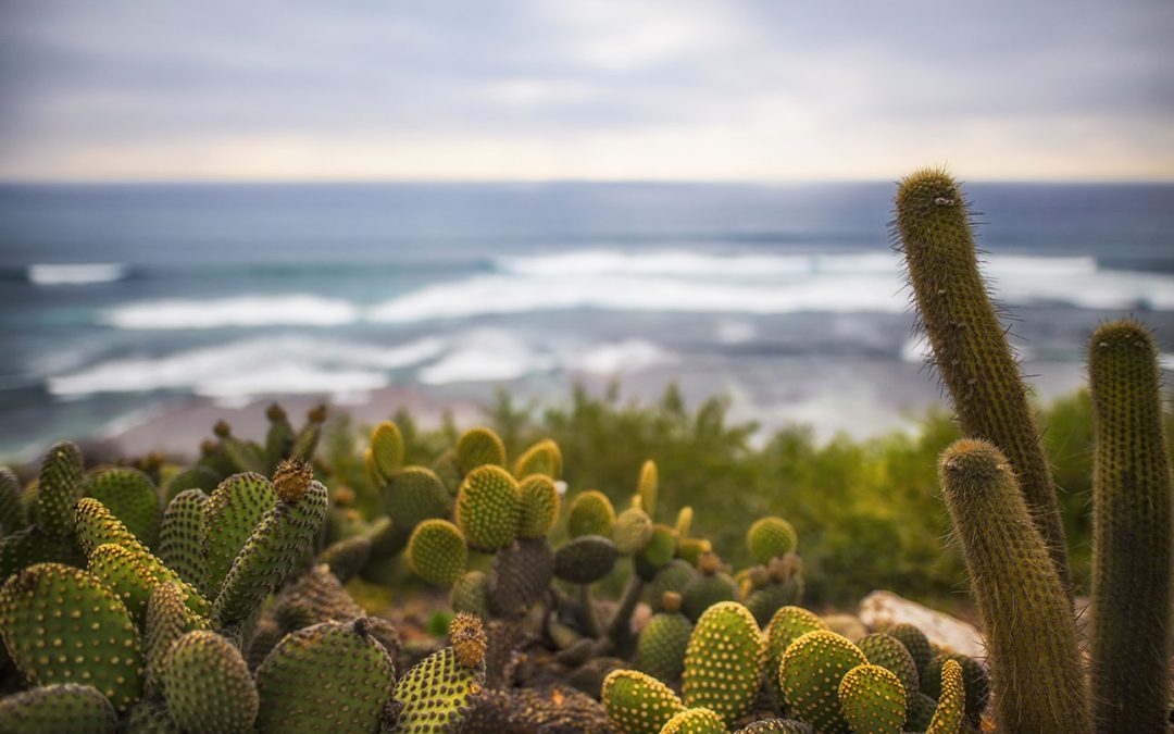 Invitan a Startups a desarrollar soluciones para afrontar el cambio climático