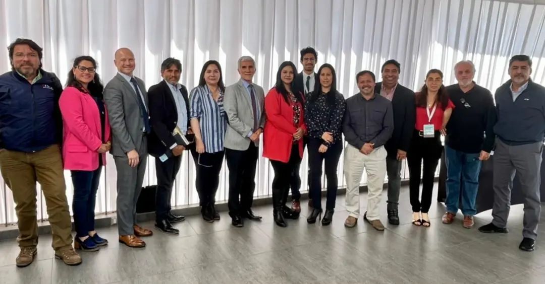Gremios Clúster /OCDE