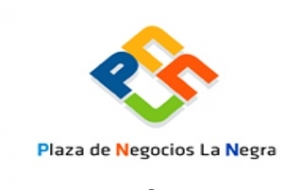 Gobierno Regional